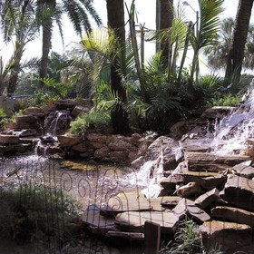Tahitian Inn