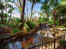 Tahitian Inn