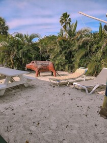 Oasis Palms Resort
