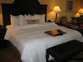Hampton Inn & Suites Wellington