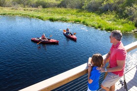 The Grove Resort & Water Park Orlando