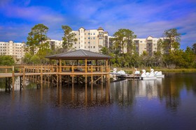 The Grove Resort & Water Park Orlando