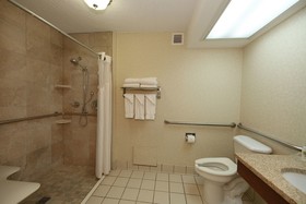 Holiday Inn Athens - University Area