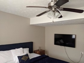 Colony Suite