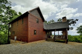 Treasure In The Trees