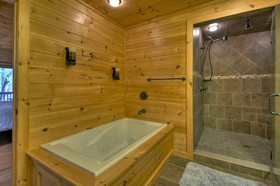 Treasure In The Trees