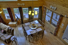 Treasure In The Trees