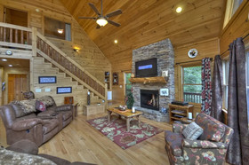 Treasure In The Trees