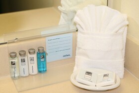 Hampton Inn & Suites Atlanta Airport North I85