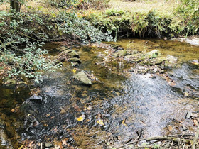 Covered Bridge Cabin