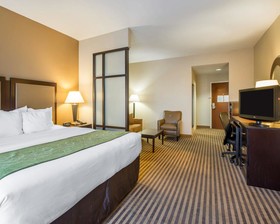 Comfort Suites McDonough Atlanta South