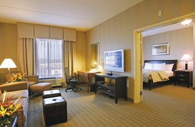 Hilton Garden Inn Atlanta South - McDonough