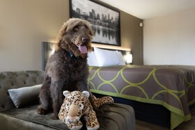 Super 8 by Wyndham McDonough GA