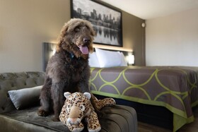 Super 8 by Wyndham McDonough GA