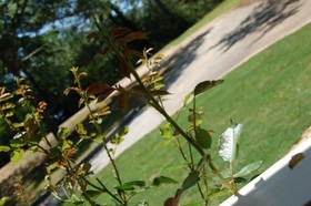 Serenity Pointe Bed and Breakfast