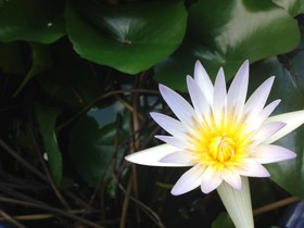 Mahina Kai Ocean Villa