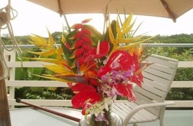 Hale Hoola B&B
