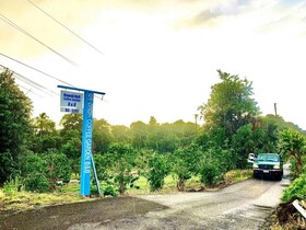 Hawaii Belt Coffee Garden