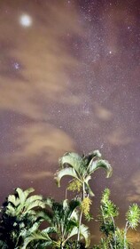 Hawaii Belt Coffee Garden