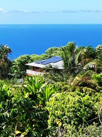 Hawaii Belt Coffee Garden