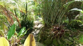 The Rainbow Plantation Bed & Breakfast