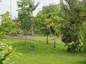 Old Hawaiian B and B