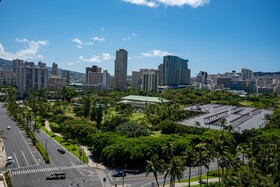 Palms by RedAwning