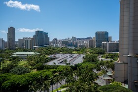 Palms by RedAwning