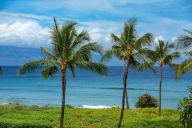 Honua Kai by RedAwning