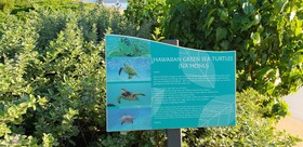 Honua Kai - Hokulani