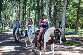 Ocean Bungalows At Turtle Bay Resort