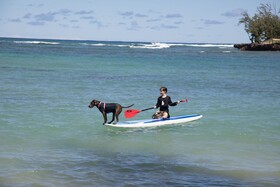 Ocean Bungalows At Turtle Bay Resort