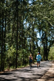 Ocean Bungalows At Turtle Bay Resort