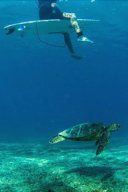 Hawaii’s Hidden Hideaway Bed & Breakfast