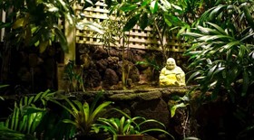 Hawaii’s Hidden Hideaway Bed & Breakfast