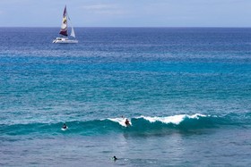 Banyan Tree by Kona Now