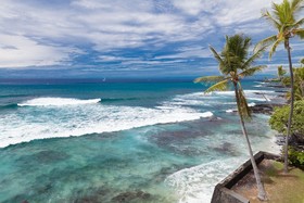 Banyan Tree by Kona Now