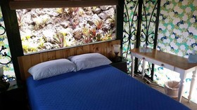 Banyan Tree Sanctuary