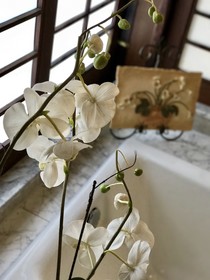 Hale Maluhia Country Inn