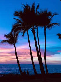 Kona Reef by Casago