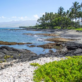Kona Reef by Casago