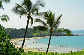 Kona Reef by Casago