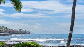 Kona Reef by Casago
