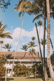 Plantation Hale Suites