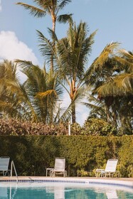 Plantation Hale Suites