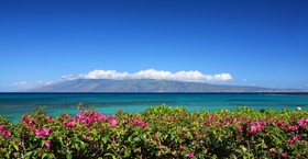 Napili Point Resort by Vacasa