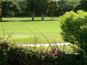 Grand Champions by VTrips