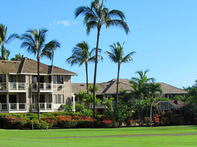 Grand Champions by VTrips