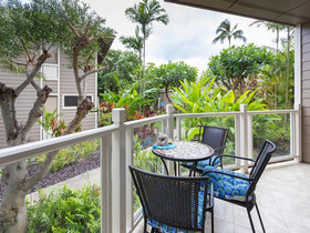 Grand Champions by VTrips