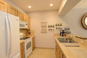 Grand Champions by VTrips